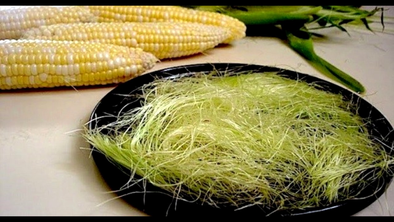 Shocking Health Benefits of Corn Silk that you didn't know INWIANG VALLEY